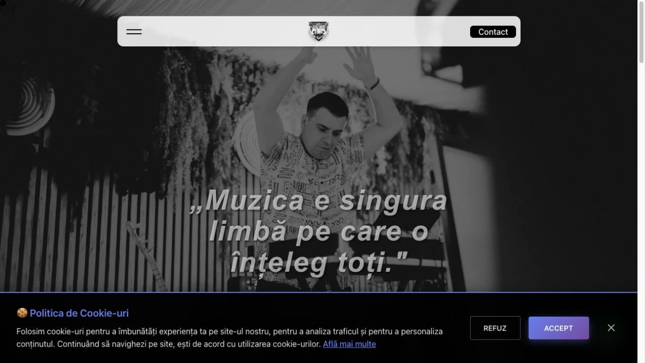 Previzualizare website DJ Suru