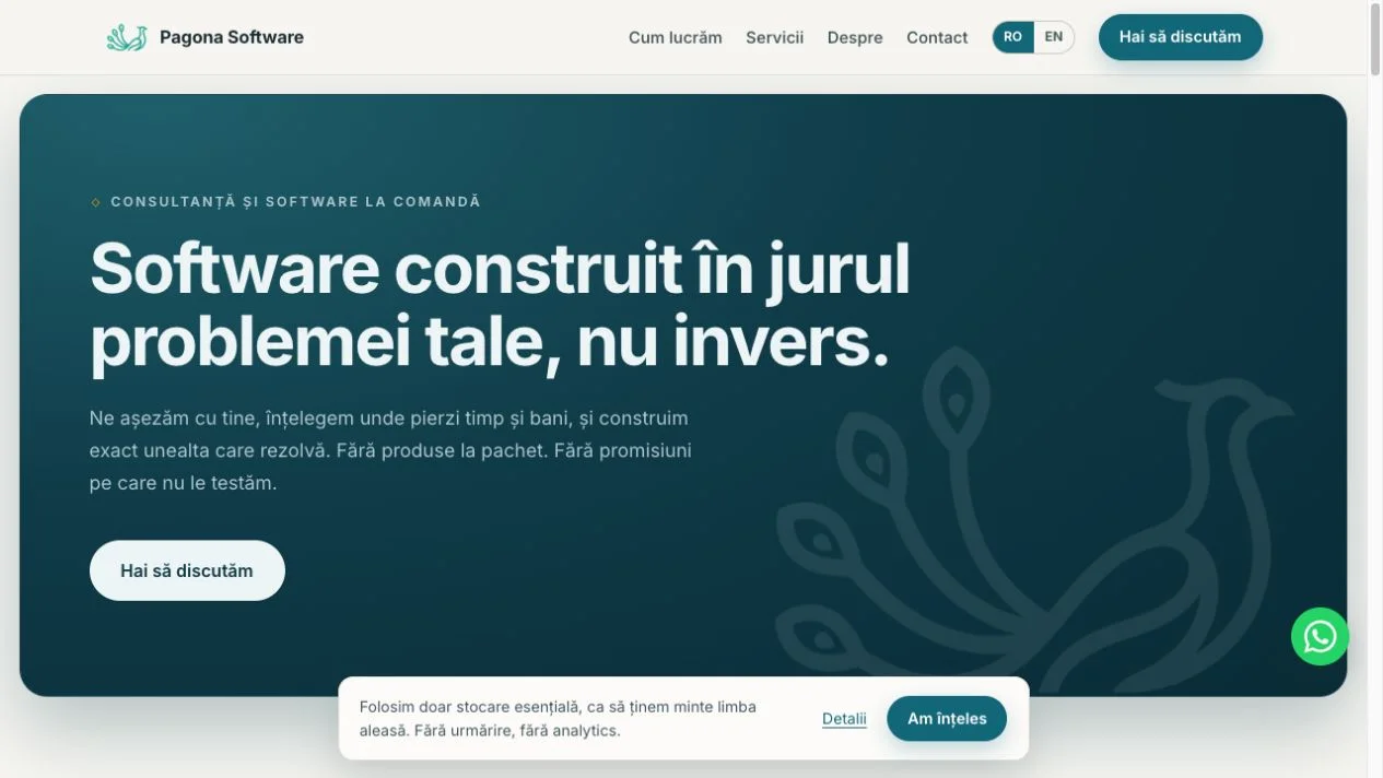 Previzualizare website Pagona Software
