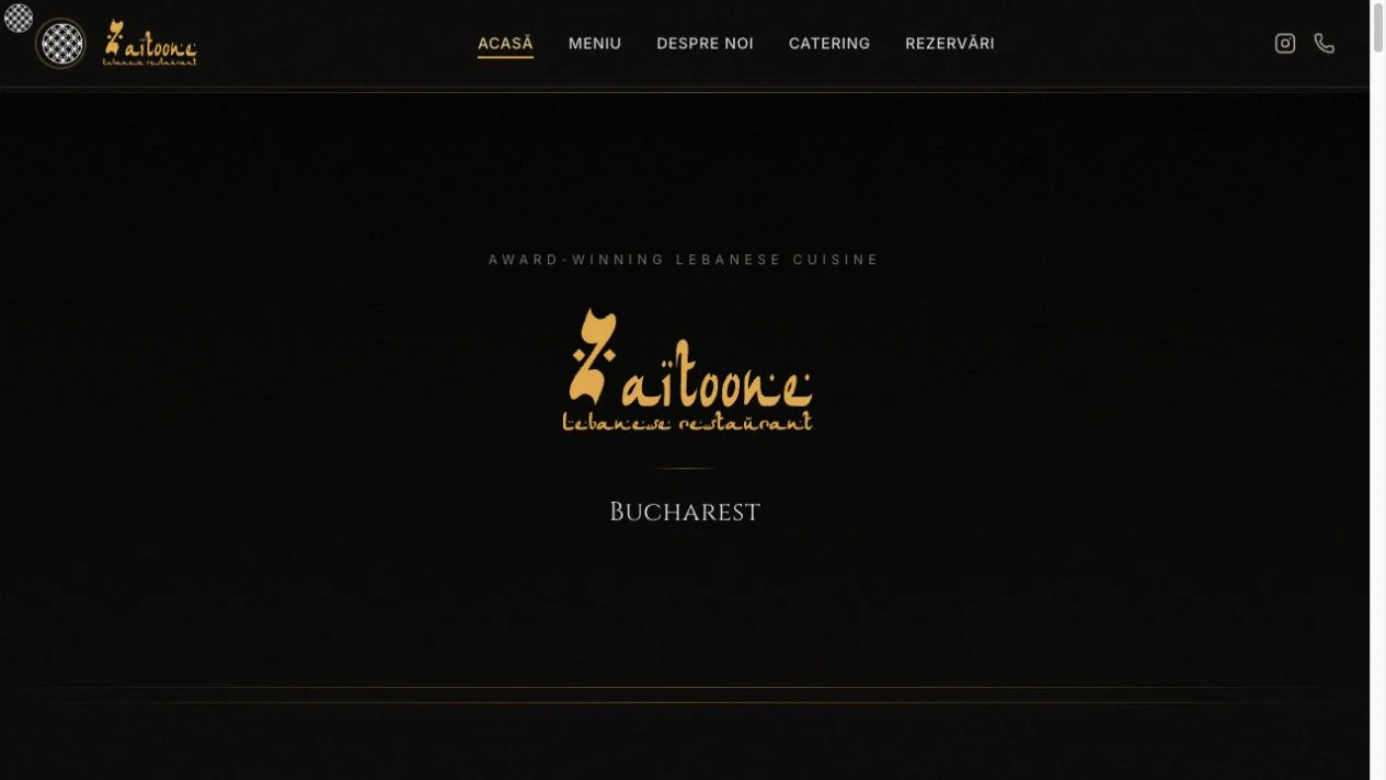 Previzualizare website Zaitoone